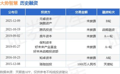 大勢智慧完成B輪融資，元睿資本與瑞鵬資產(chǎn)領投，技術賦能再升級