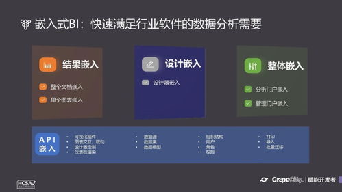 低代碼與嵌入式BI 中小軟件公司提速成長(zhǎng)的雙引擎